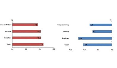 Tüik: Mayıs ayında genel ticaret sistemine göre ihracat %11,3 arttı, ithalat %10,4 azaldı